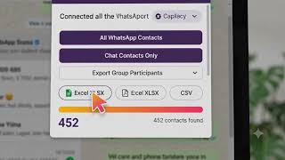 Export WhatsApp Web Contacts to Excel or CSV | 1net Contacts Export