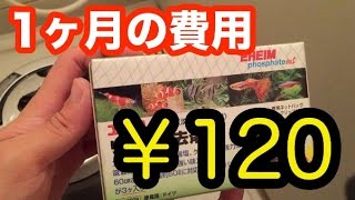 【海水魚】リン酸除去剤を濾過槽へつっこむ！コケとお別れ！？