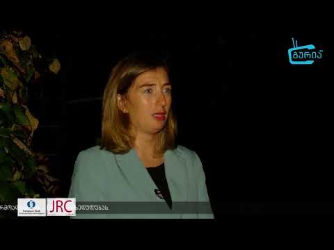 თხილის განსხვავებული მოსავალი გურიასა და სამეგრელოში