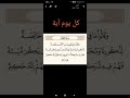 وقالوا ما في بطون هذه الأنعام خالصة لذكورنا وقالوا ما في بطون هذه الأنعام خالصة لذكورنا