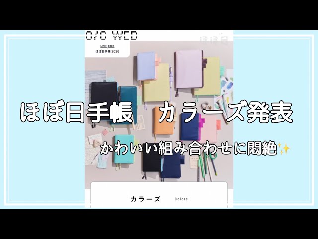 ほぼ未使用 茶道具 色々十六点 おまとめて 通販販売【茶道具】 銘々皿 こより胎 黒塗 菱形 *川瀬表完* 茶道道具