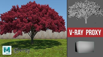 Maya + Vray | How to render heavy scenes & reduce Memory Footprint With V-Ray Proxy