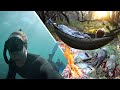 Spearfishing/ Camping CATCH & COOK || LOBSTER/ ABALONE/ FISH