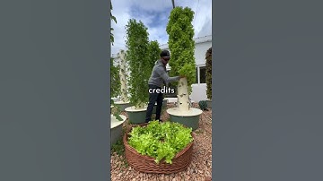 Join the net zero revolution 🤝 #climatechange #globalwarming #netzero