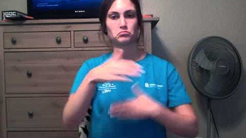 SLG 202 Final Project