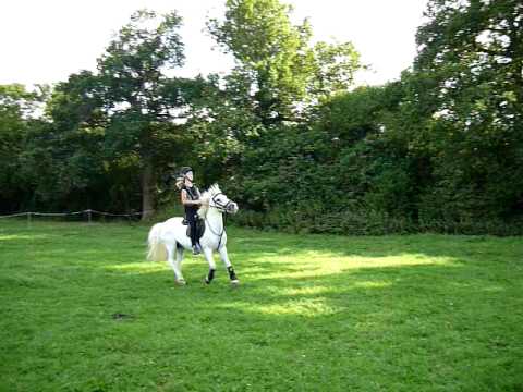 More Training on Bramble Bee Ball and Cone