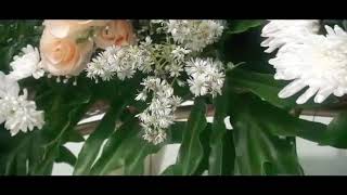 Allah Allah Aghisna ( Wedding Video ) Ahmad Jaelani & Tri Mulyani