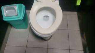 Hcg toilet and urinal
