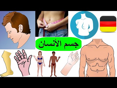 مفردات البدن بالألماني اسماء أجزاء الجسم الالمانية
