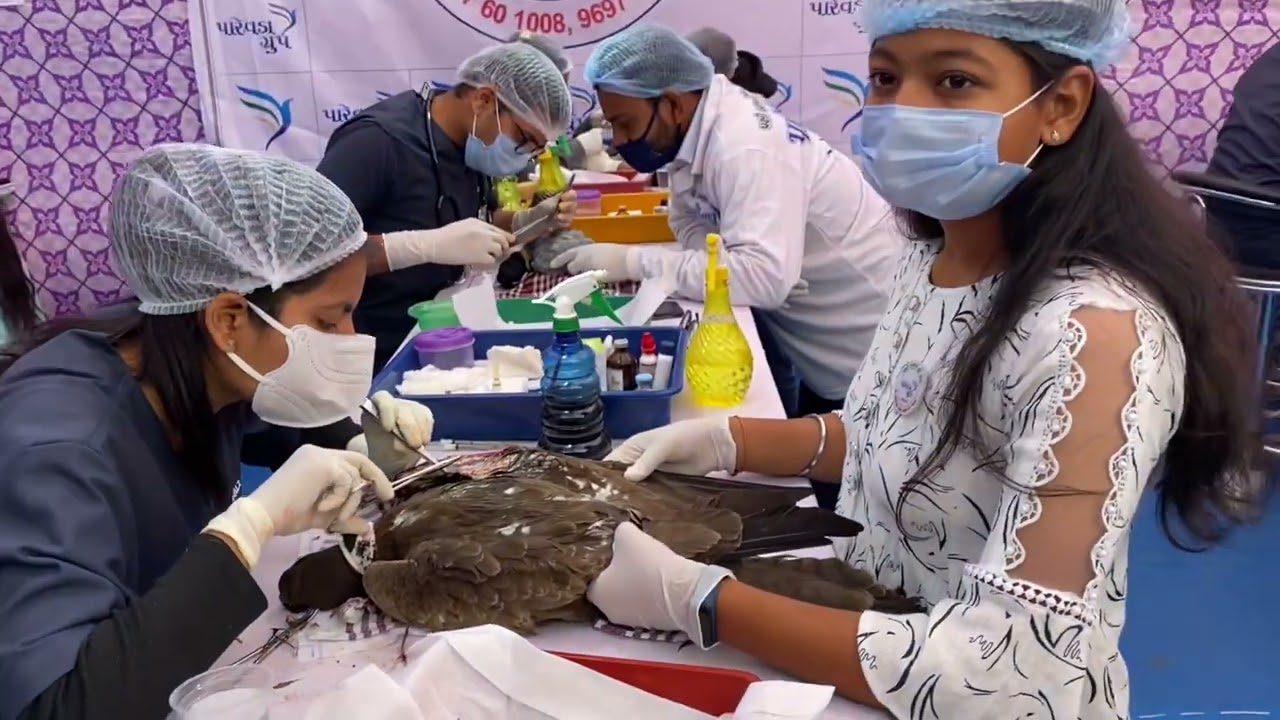Uttarayan 2022 Parevda Group | Bird Rescue Camp