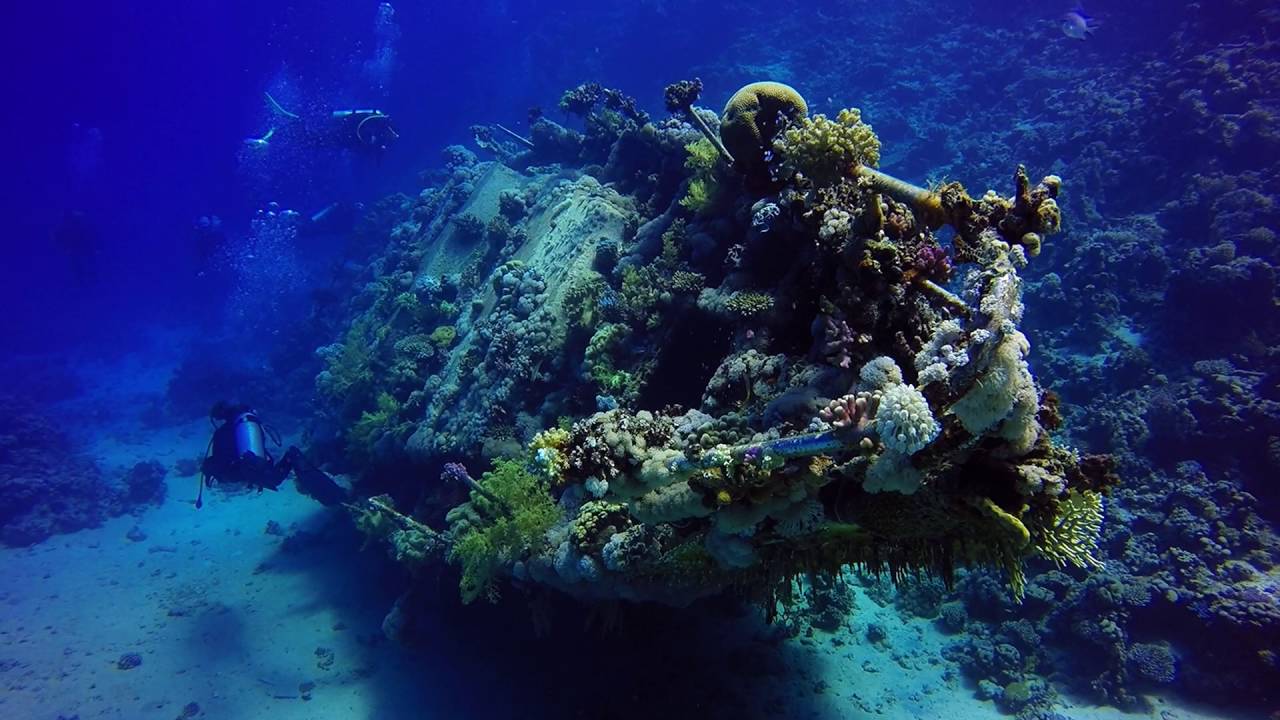 Red Sea Expedition 2016 (Semana 2)