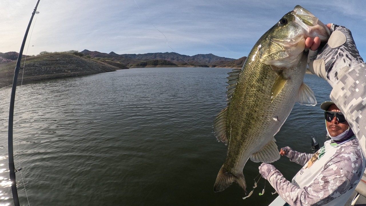 Baccarac Fishing 2026 Day 1