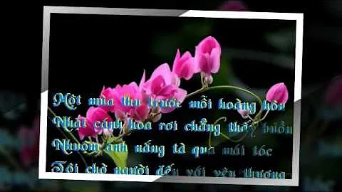 HAI SẮC HOA TIGON- thơ T T KH- nhạc  TRẦN THIỆN THANH- XUÂN THỤ trình bày