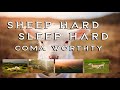 SWEET SLEEP - COUNT SHEEP, Drop into REM, Relaxing music, COMA worthy