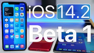 iOS 14.2 Beta 1 is Out! - What's New?