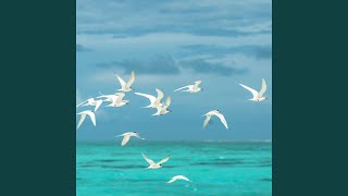 Eternal Tranquility with Ocean Sounds