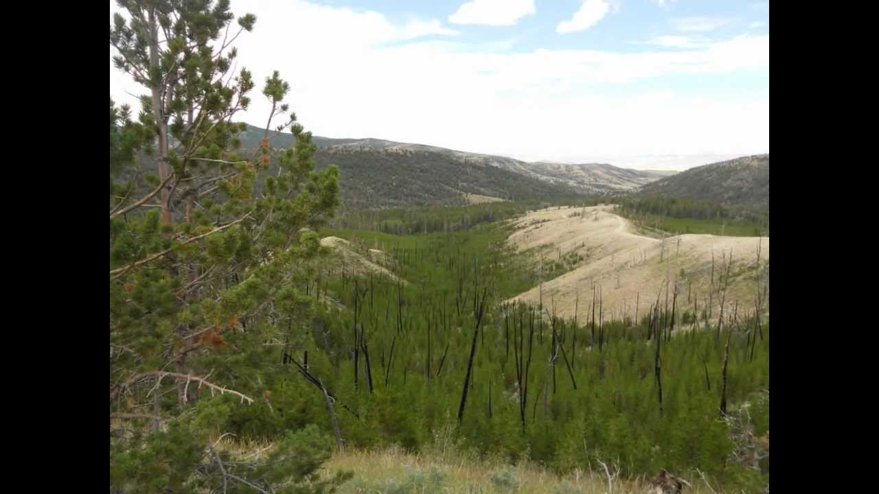 WHISKEY PEAK YouTube