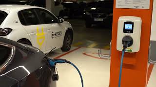 Isenções fiscais a elétricos passam os 100 milhões de euros Isenções fiscais a elétricos passam os 100 milhões de euros