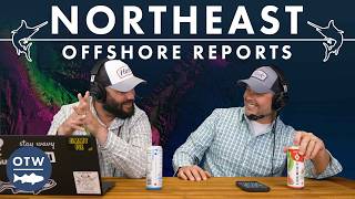 Any Port in the Tuna Storm | Northeast Offshore Fishing Report July 22nd, 2026