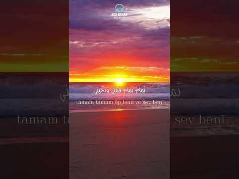 أغنية تركية تمام تمام لقد ربحة العشق مترجمة للعربية بدون موسيقى 