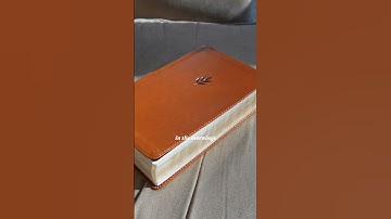 How fast did I read the entire Bible? #booktube #bookish #biblereading #biblestudy #bibleverse