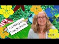 Frühling im Morgenkreis | Betzold TV Kindergarten