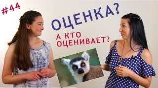 Что такое оценка? Почему мы оцениваем? И что за этим стоит? ВСМЫСЛЕ Что такое оценка? Почему мы оцениваем? И что за этим стоит? ВСМЫСЛЕ