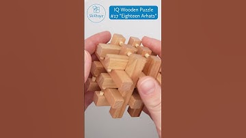 Skilltoyz IQ Wooden 3D Puzzle design 27 "Eighteen Arhats". No solution shown - spoiler-free.