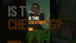 Is using Moonshine Sunshine cheating?