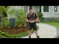 How to create a classic low maintenance garden  mitre 10 easy as