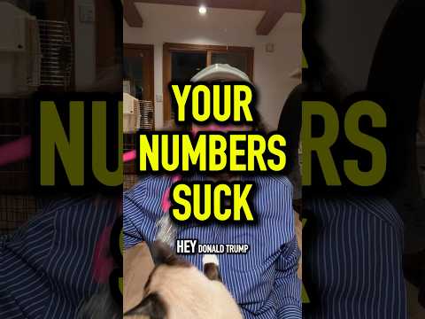 Your Numbers Suck | Paula Poundstone