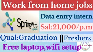Work from home jobs || spring work recruitment || internship || data entry jobs screenshot 5
