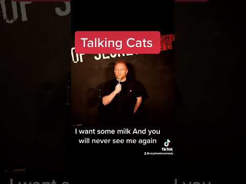Rory o Hanlon - Talking Cats