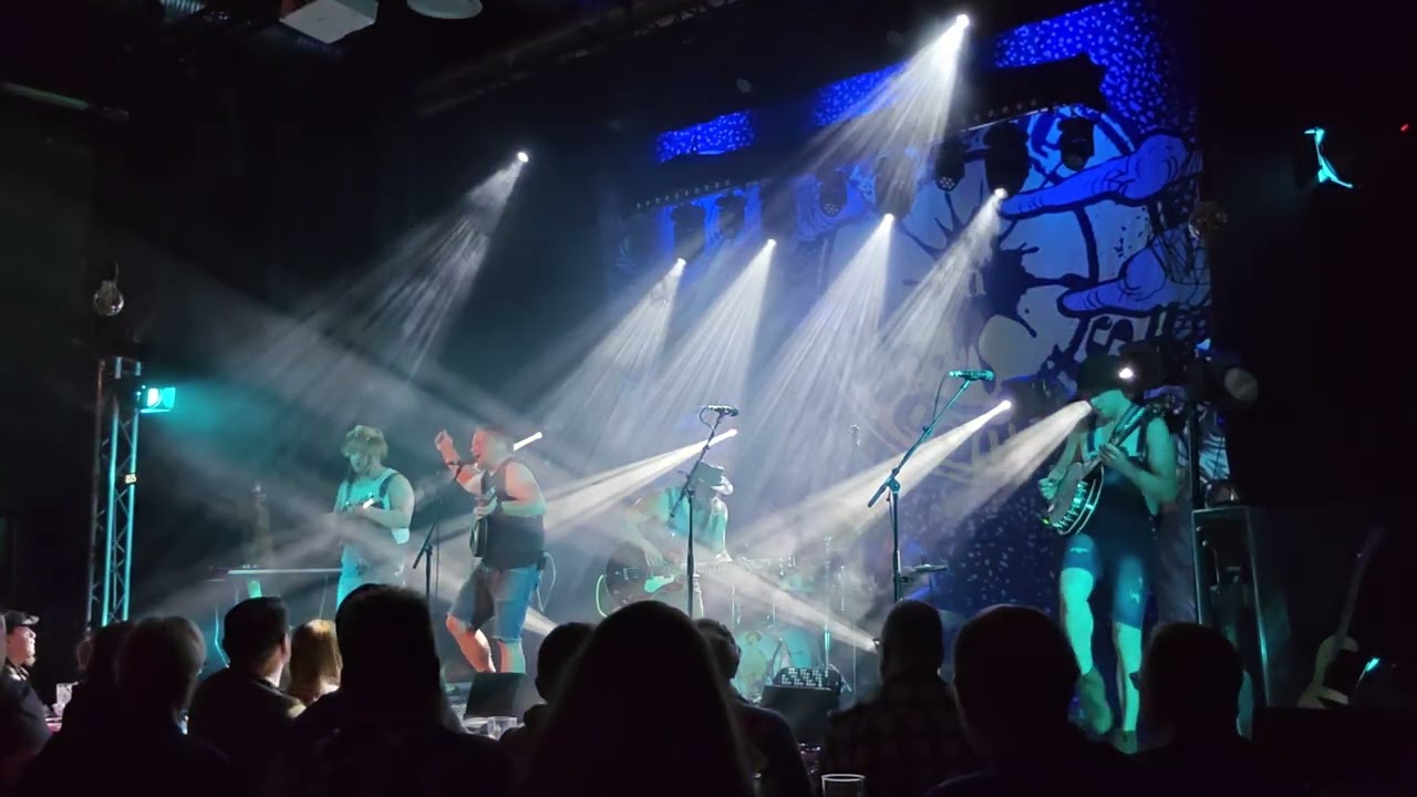 Steve'n'Seagulls - Danger Zone (live)