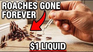 $1 Liquid KILLED Every Cockroach FOREVER. BANNED 27 States. They PRAYED You'd Never Know