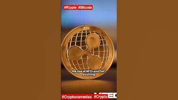 The beginning. #cryptocurrency #bitcoin #crypto #blockchain #ethereum #defi #blockchain #ledger #cat