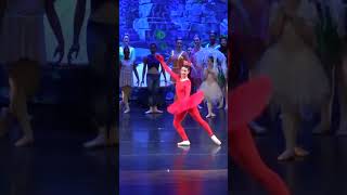 Sebastian The Ballet Crab  Charm City Ballet Presents The Little Mermaid  June 89 2024