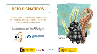 Sesión informativa - Reto Signatidos (08 05 2024)