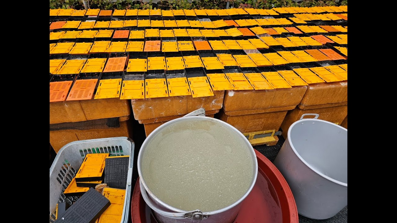 개미산 겔 만들기