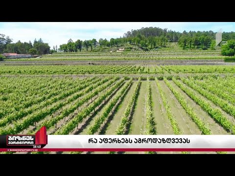 რა აფერხებს აგროდაზღვევის სისტემის განვითარებას?