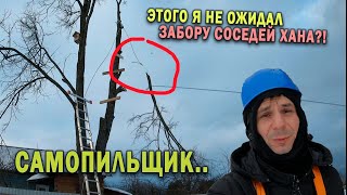 КАК СПИЛИТЬ ДЕРЕВО И НЕ РАЗРУШИТЬ ЗАБОР СОСЕДЕЙ / Из Москвы в деревню 59