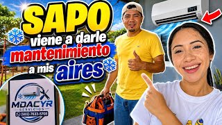 SAPO is now a total pro at this job/ BESSY is super surprised by SAPO