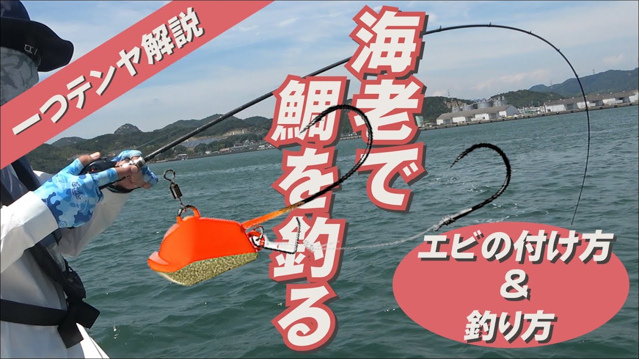 【ひとつテンヤ】“海老で鯛を釣る”in瀬戸内海