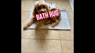 Bathroom Rug- soft, absorbs water, washes well