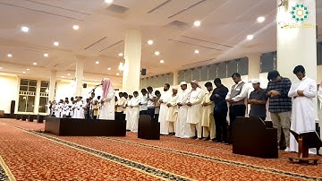 [ ووصينا الإنسان بوالديه ] عشائية ندية خاشعة | القارئ سلطان العمري