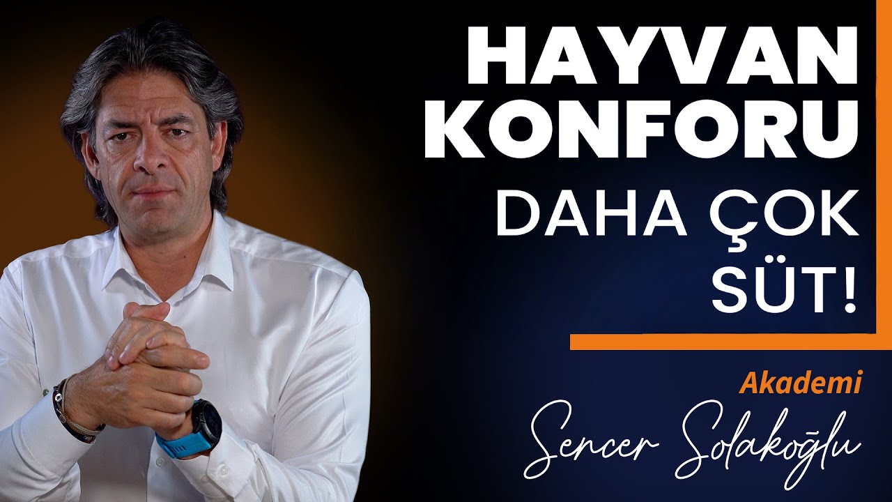 Doğum Sonrası İnek Yönetimi: Süt Piki Nasıl Yükseltilir? Ketoz ve Hipokalsemi Önleme Stratejileri