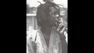 Peter Tosh Lessons In My Life