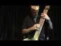 What Is A Chapman Stick?