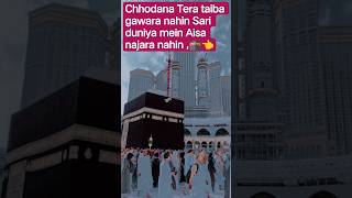 chhodana Tera taiba gawara nahin Sari duniya mein Aisa najara nahin#rasoolallahﷺ #naat #shortsviral
