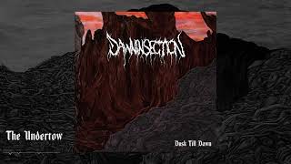 Dawninsection - The Undertow